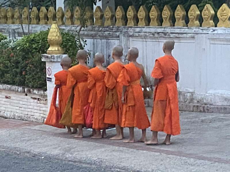 Mönche laufen in ihren orangenen Gewändern hintereinander her.